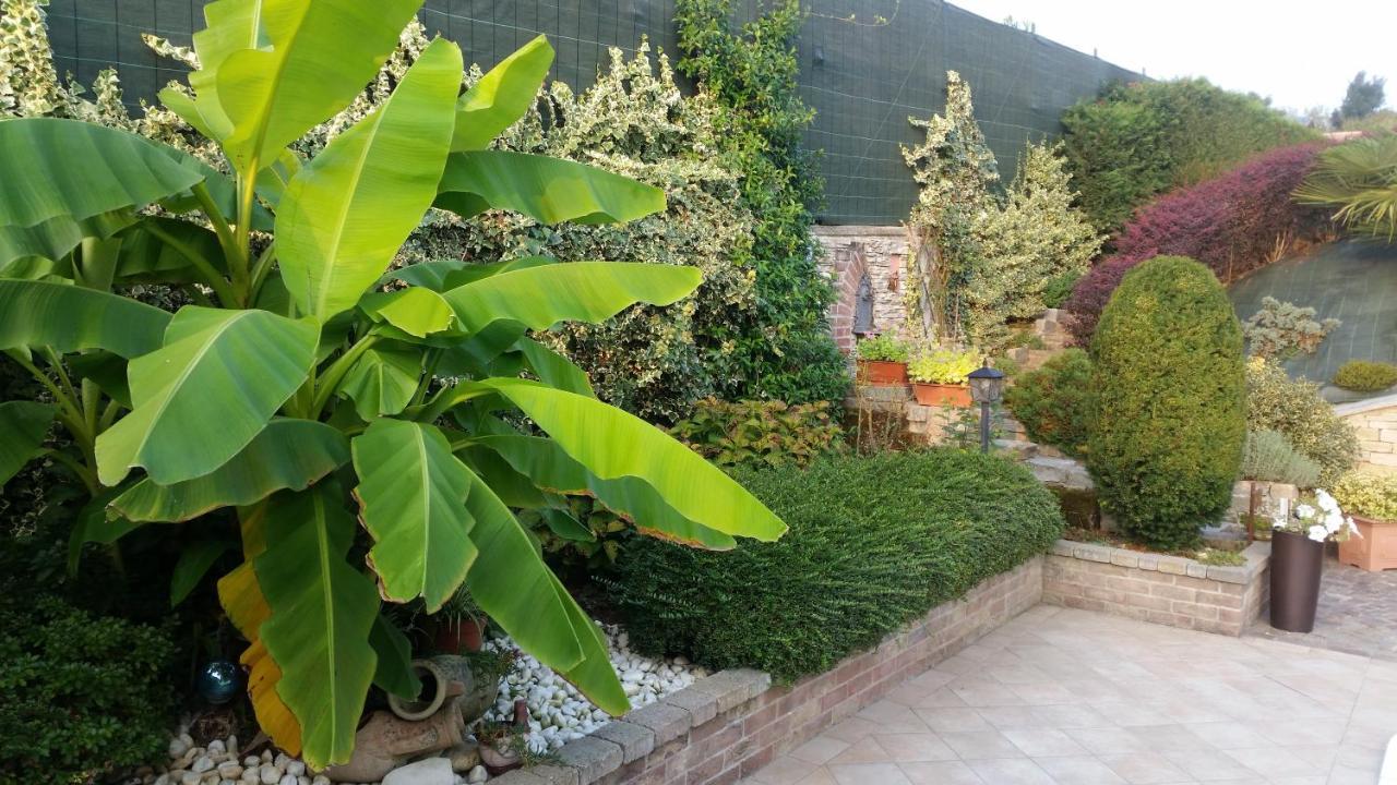 Villa Laura B&B Fossano Bagian luar foto